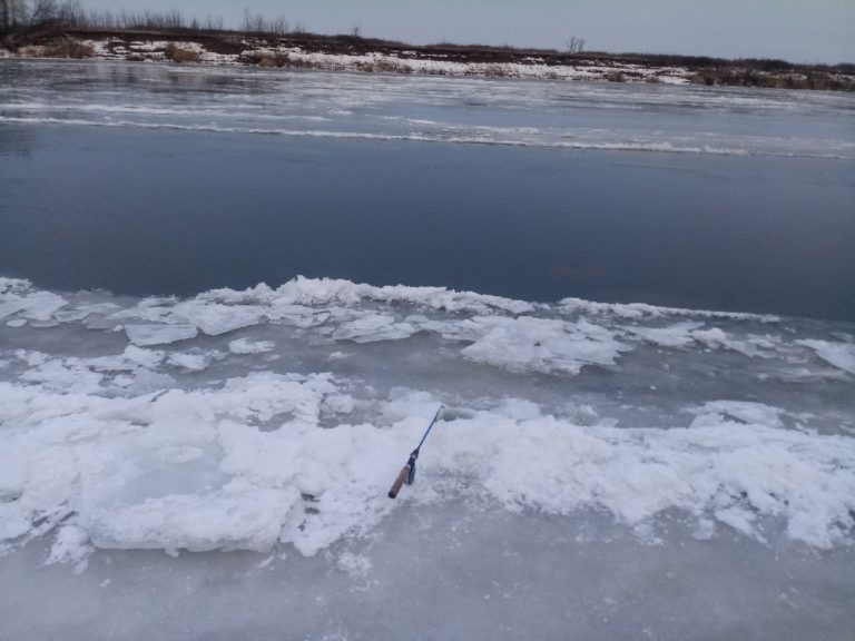 Отчет о рыбалке: Водоём #172527131 — Шиловский район — Центральный федеральный округ, Рязанская область
