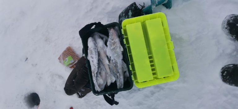 Отчет о рыбалке: Горьковское водохранилище — городской округ Чкаловск — Приволжский федеральный округ, Нижегородская область