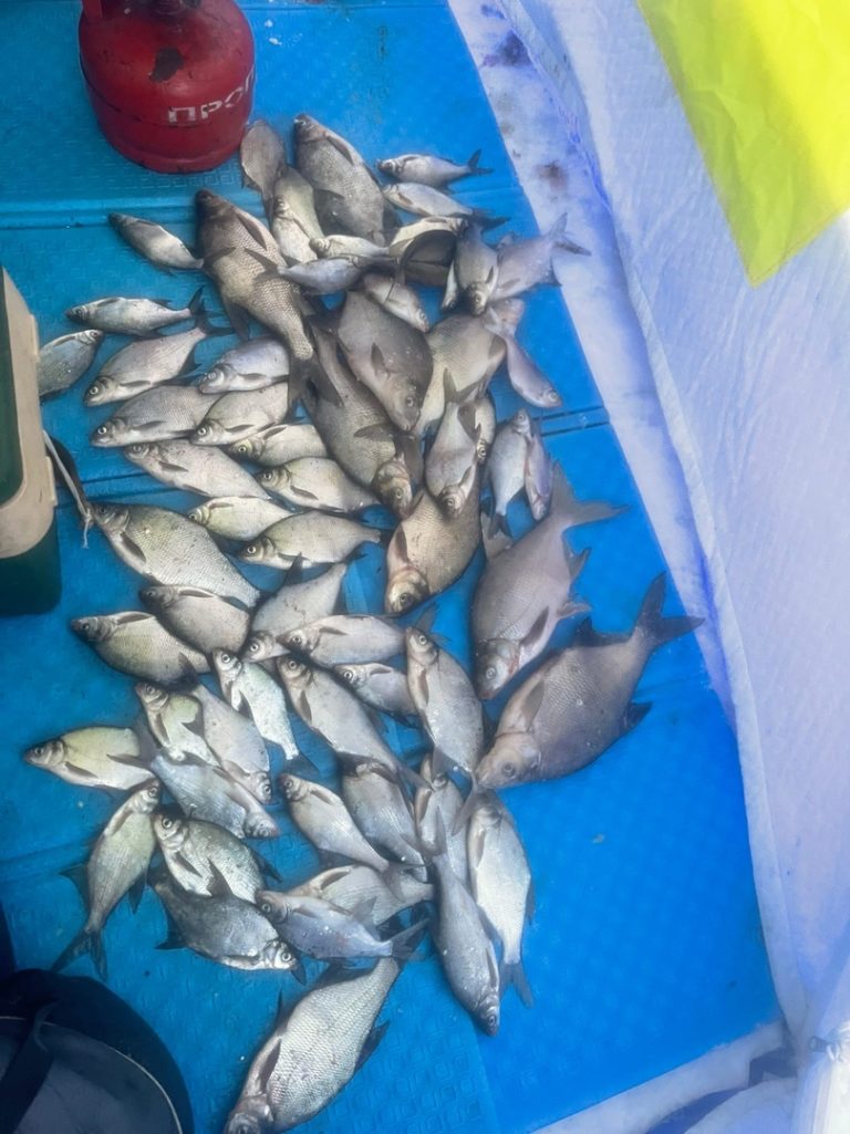 Отчет о рыбалке: Иваньковское водохранилище — Центральный федеральный округ, Тверская область
