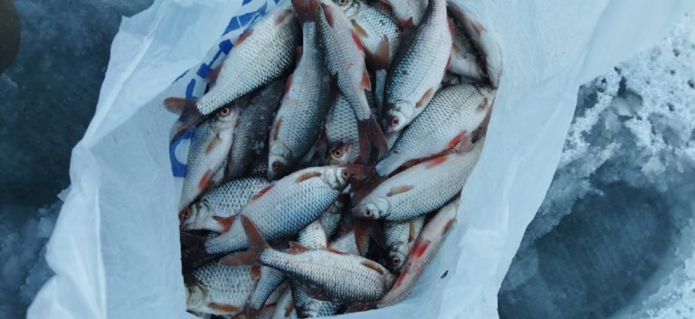 Отчет о рыбалке: Река Белая — городской округ Уфа — Уфа — Приволжский федеральный округ, Республика Башкортостан