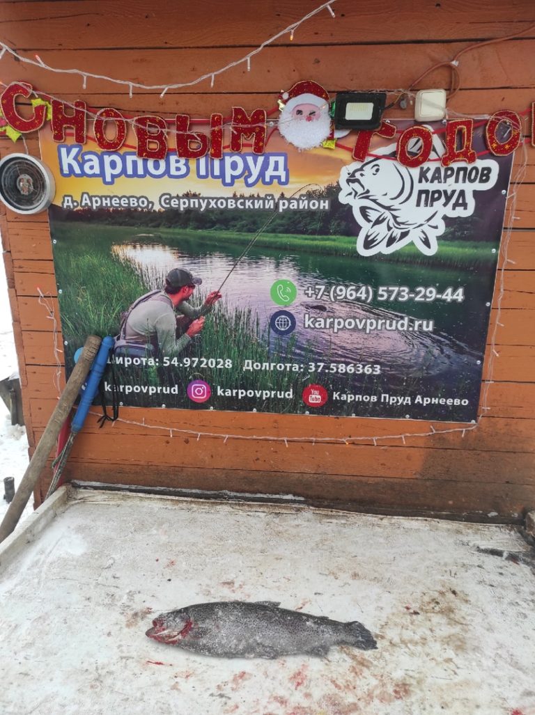 Отчет о рыбалке: Пруд Карпов малый — городской округ Серпухов — деревня Арнеево — Центральный федеральный округ, Московская область