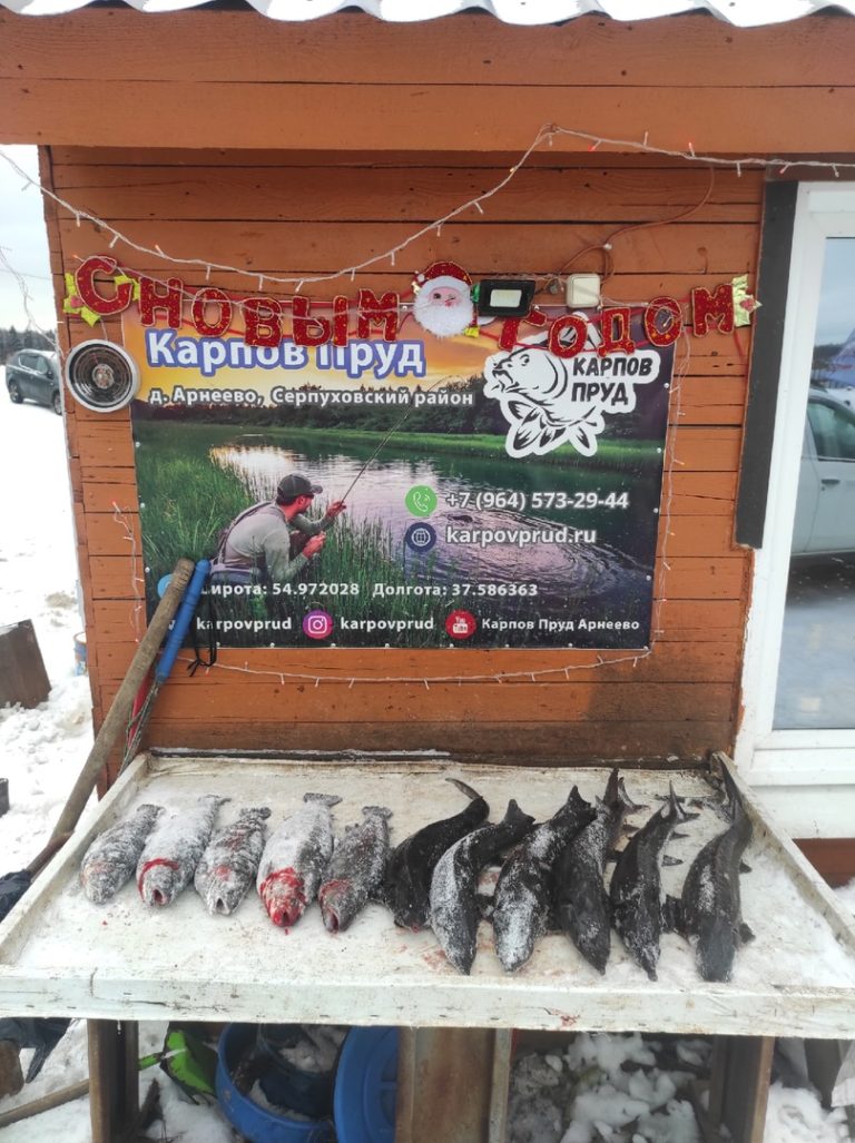 Отчет о рыбалке: Пруд Карпов малый — городской округ Серпухов — деревня Арнеево — Центральный федеральный округ, Московская область
