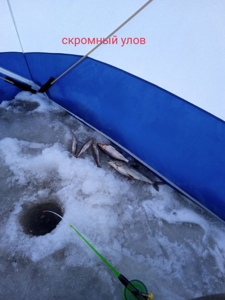 Отчет о рыбалке: губа Сухое Море — Приморский район — Северо-Западный федеральный округ, Архангельская область