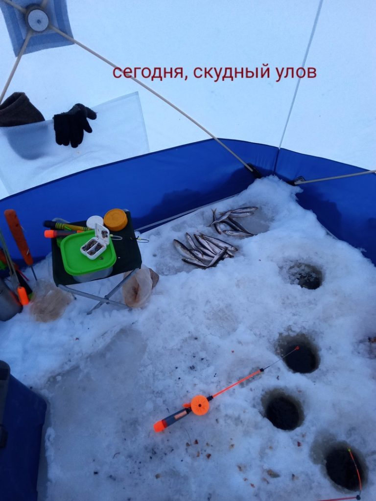 Отчет о рыбалке: губа Сухое Море — Приморский район — Северо-Западный федеральный округ, Архангельская область