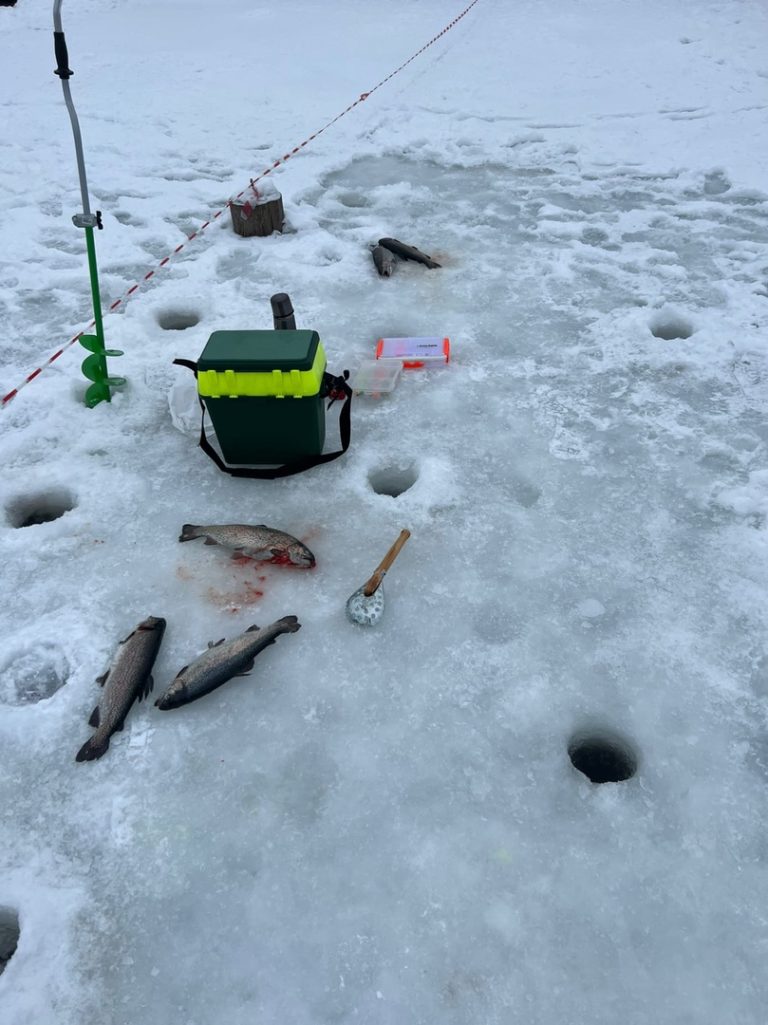 Отчет о рыбалке: Водоём #320512382 — городской округ Ступино — деревня Прудно — Центральный федеральный округ, Московская область
