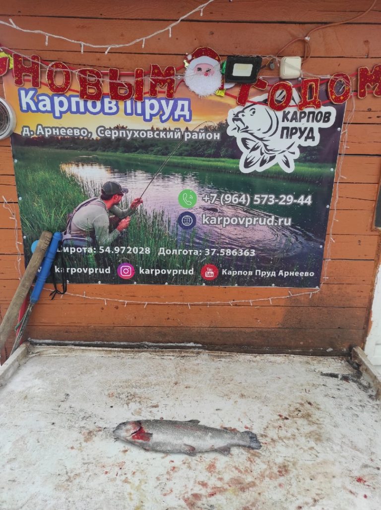 Отчет о рыбалке: Пруд Карпов малый — городской округ Серпухов — деревня Арнеево — Центральный федеральный округ, Московская область