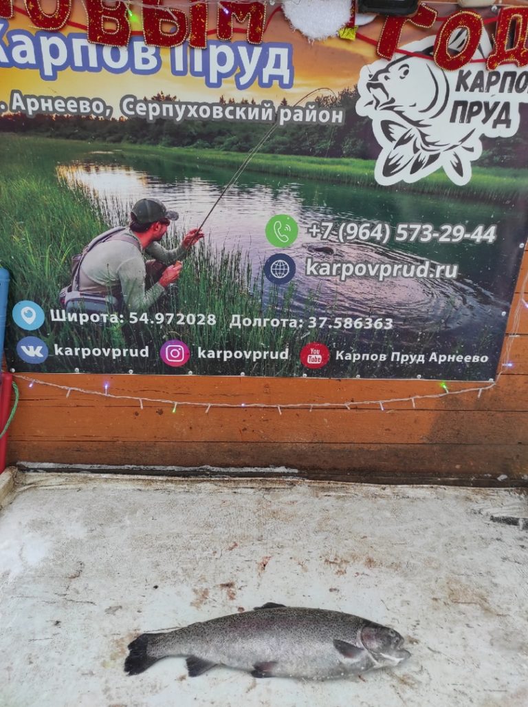 Отчет о рыбалке: Пруд Карпов малый — городской округ Серпухов — деревня Арнеево — Центральный федеральный округ, Московская область