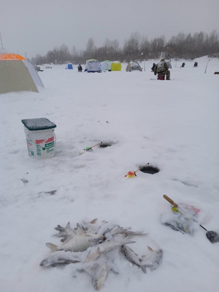 Отчет о рыбалке: Река Тура — городской округ Тюмень — Тюмень — Уральский федеральный округ, Тюменская область
