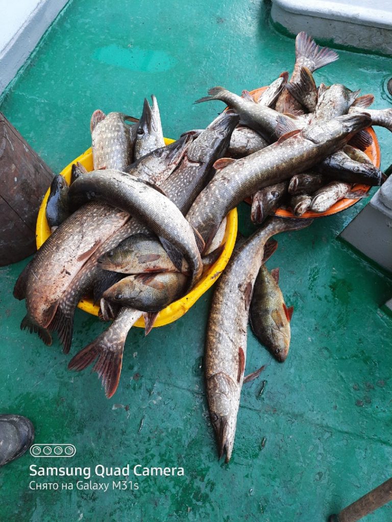 Отчет о рыбалке: река Малый Анюй — Дальневосточный федеральный округ