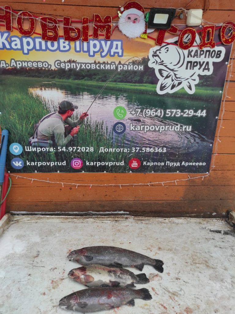 Отчет о рыбалке: Пруд Карпов малый — городской округ Серпухов — деревня Арнеево — Центральный федеральный округ, Московская область