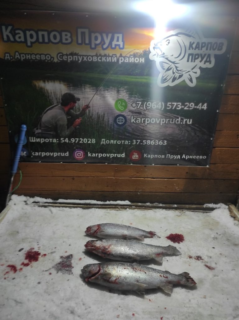 Отчет о рыбалке: Пруд Карпов малый — городской округ Серпухов — деревня Арнеево — Центральный федеральный округ, Московская область