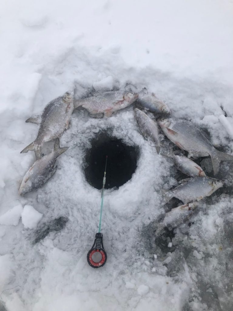 Отчет о рыбалке: Река Ока — городской округ Коломна — Центральный федеральный округ, Московская область