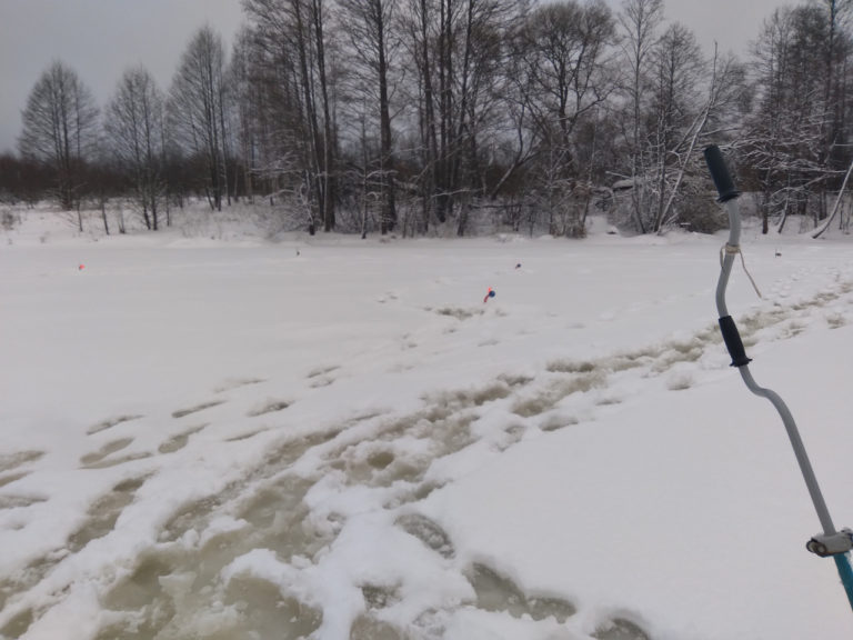 Отчет о рыбалке: Десногорское водохранилище — Центральный федеральный округ, Смоленская область