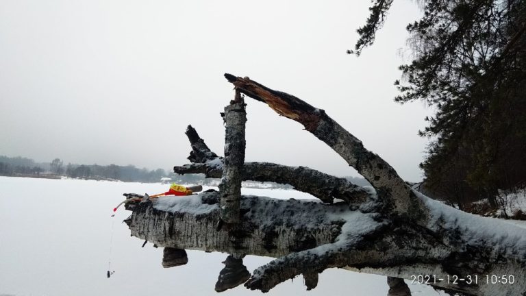 Отчет о рыбалке: Десногорское водохранилище — Центральный федеральный округ, Смоленская область