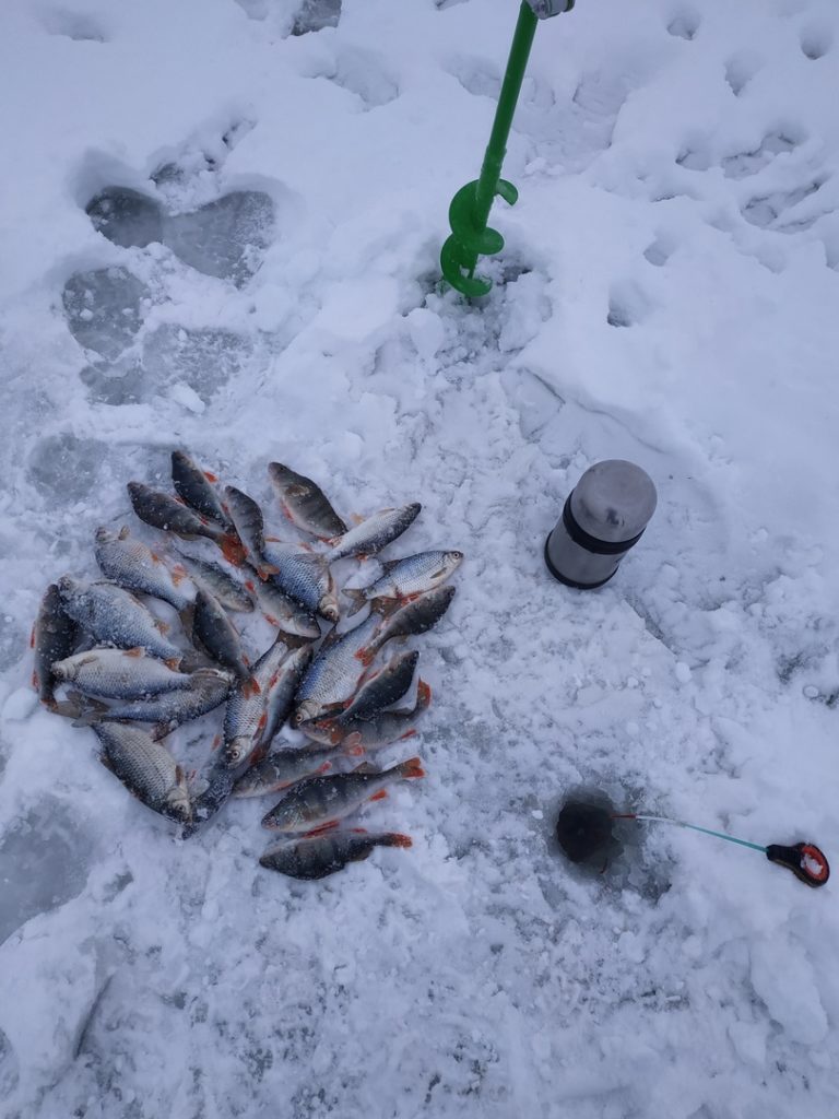 Отчет о рыбалке: Сурское водохранилище — Пензенский район — Приволжский федеральный округ, Пензенская область