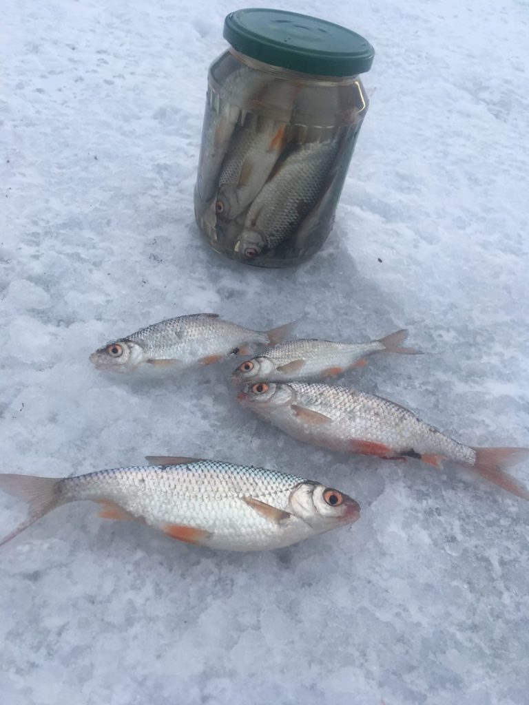 Отчет о рыбалке: Воронежское водохранилище — городской округ Воронеж — Воронеж — Центральный федеральный округ, Воронежская область