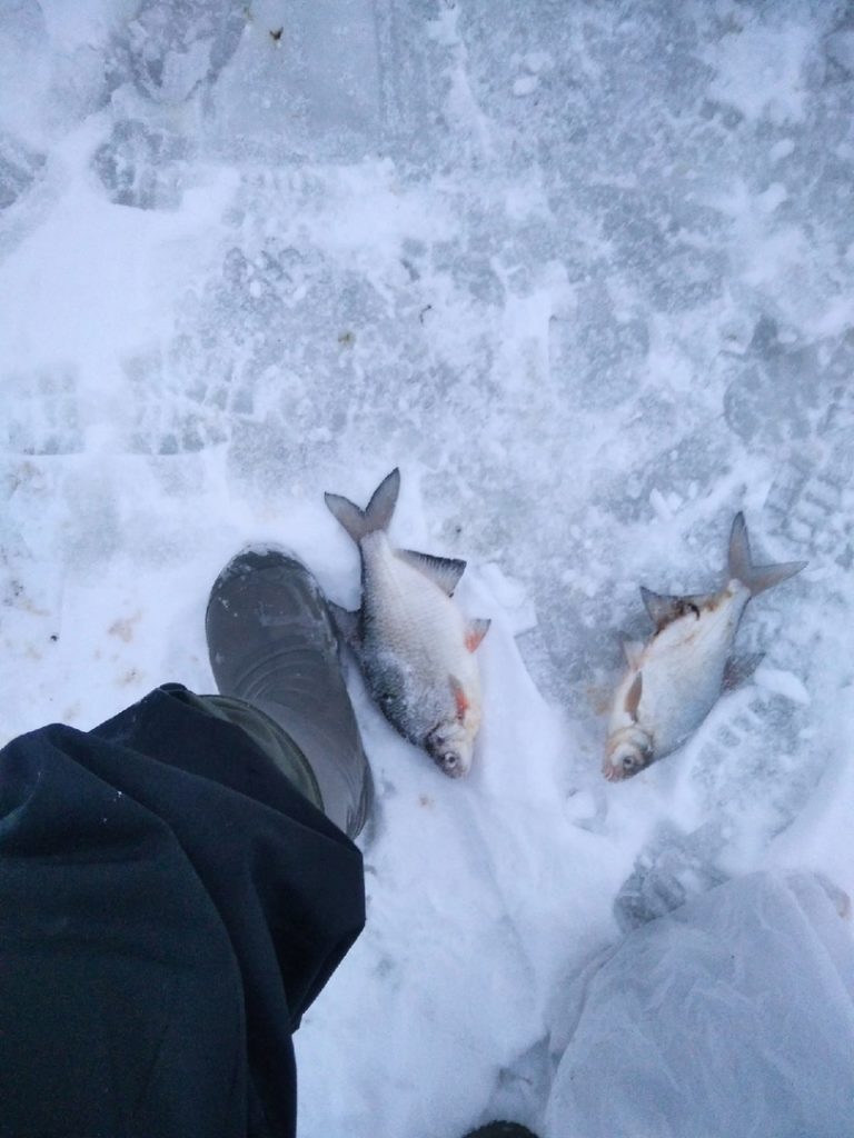 Отчет о рыбалке: Река Ока — Раменский городской округ — деревня Панино — Центральный федеральный округ, Московская область