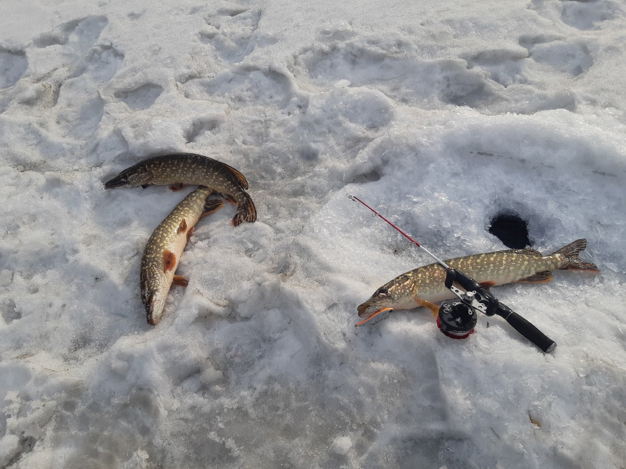 Отчет о рыбалке: Водоём #145557567 — городской округ Абакан — Сибирский федеральный округ, Республика Хакасия Отчет о рыбалке: Водоём #145557567 — городской округ Абакан — Сибирский федеральный округ, Республика Хакасия