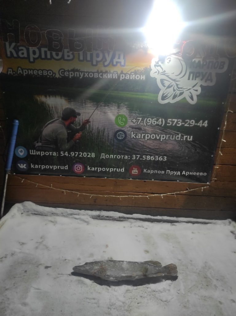 Отчет о рыбалке: Пруд Карпов малый — городской округ Серпухов — деревня Арнеево — Центральный федеральный округ, Московская область