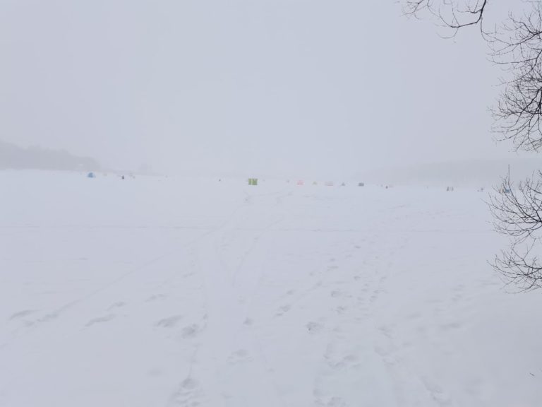 Отчет о рыбалке: Водоём #34229845 — городской округ Железногорск — Центральный федеральный округ, Курская область