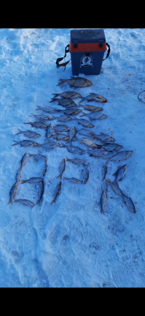 Отчет о рыбалке: Вазузское водохранилище — Центральный федеральный округ