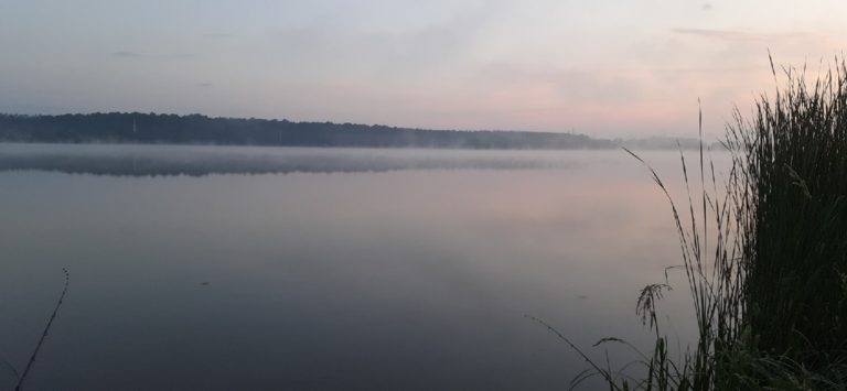 Отчет о рыбалке: Яченское водохранилище — городской округ Калуга — Калуга — Центральный федеральный округ, Калужская область