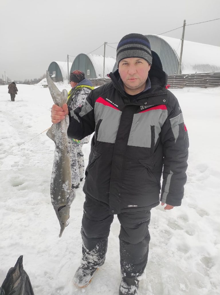Отчет о рыбалке: Пруд Карпов малый — городской округ Серпухов — деревня Арнеево — Центральный федеральный округ, Московская область