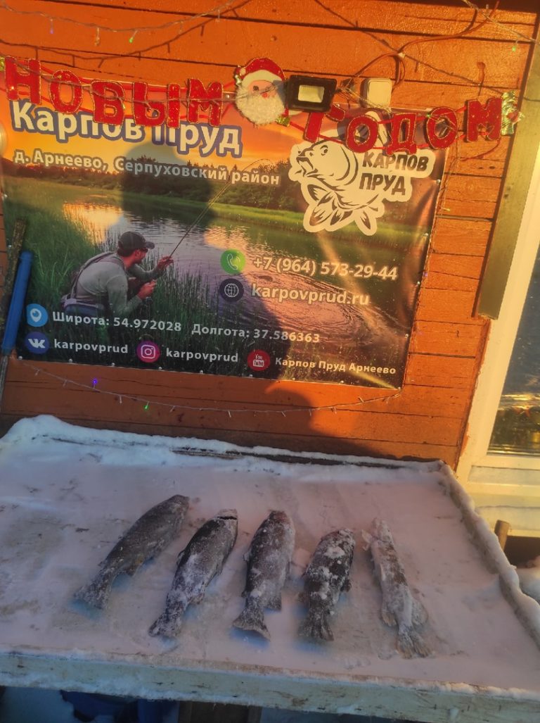 Отчет о рыбалке: Пруд Карпов малый — городской округ Серпухов — деревня Арнеево — Центральный федеральный округ, Московская область