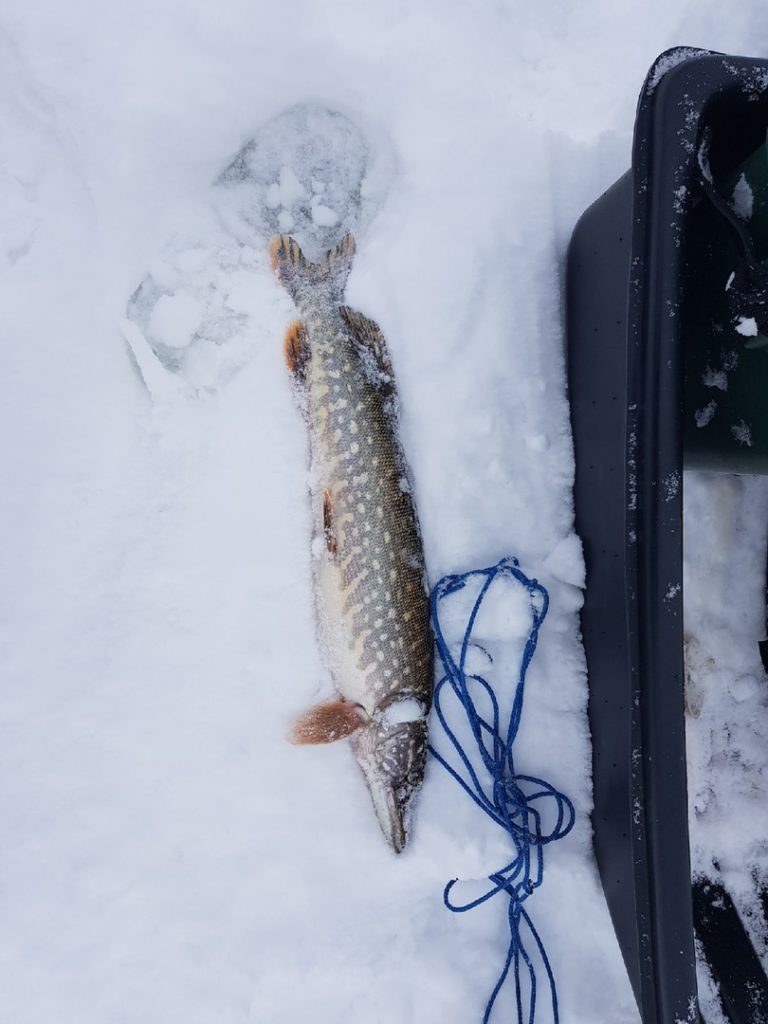 Отчет о рыбалке: Водоём #217525103 — городской округ Коломна — Центральный федеральный округ, Московская область
