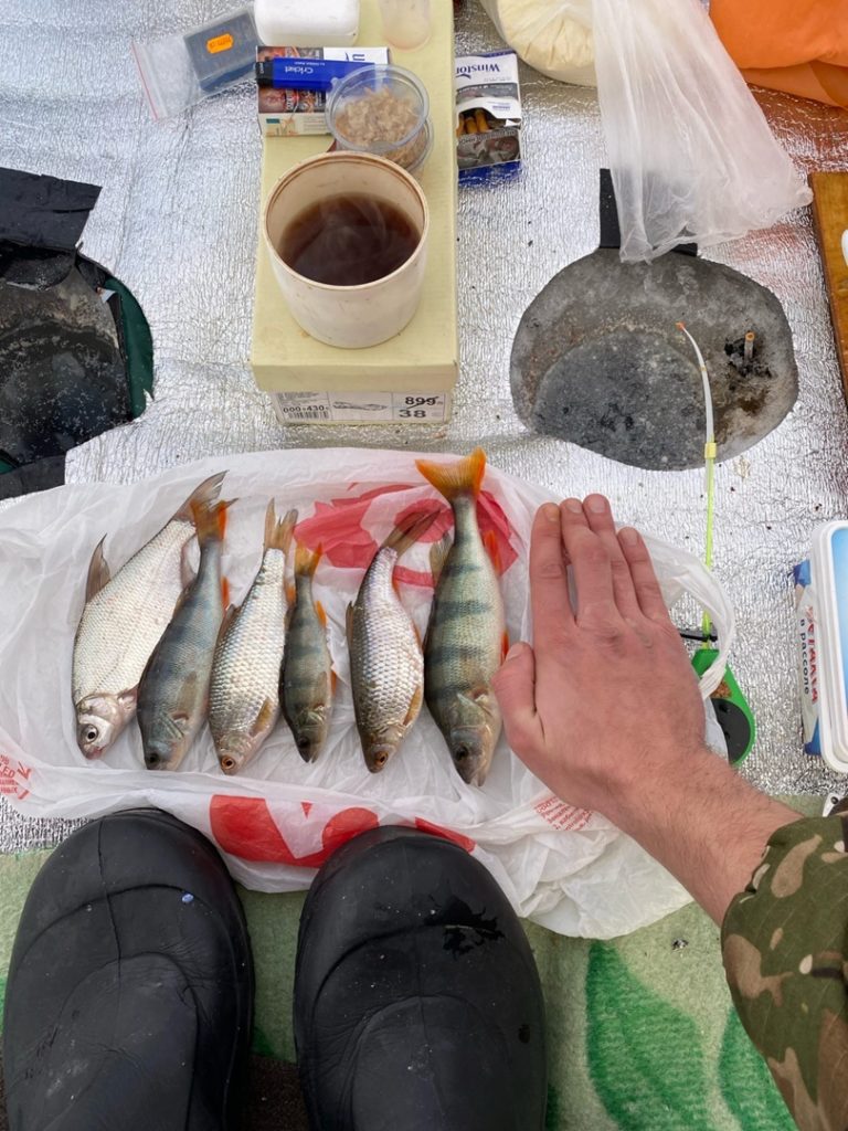 Отчет о рыбалке: затон Яринский — городской округ Новосибирск — Новосибирск — Сибирский федеральный округ, Новосибирская область