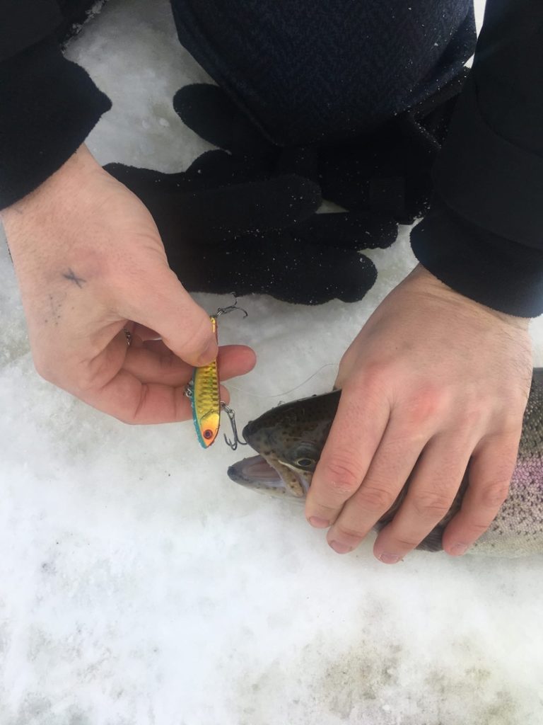 Отчет о рыбалке: Пионерский пруд — Наро-Фоминский городской округ — Центральный федеральный округ, Московская область