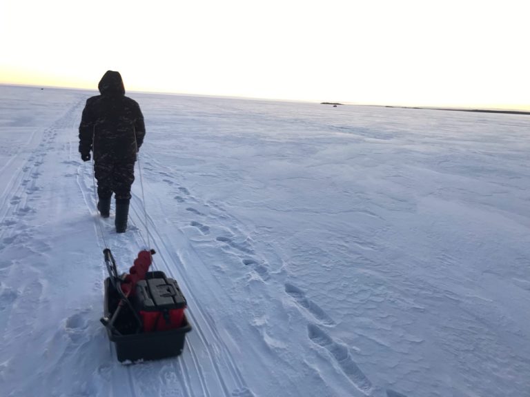 Отчет о рыбалке: Онежское озеро — Петрозаводский городской округ — Петрозаводск — Северо-Западный федеральный округ, Республика Карелия