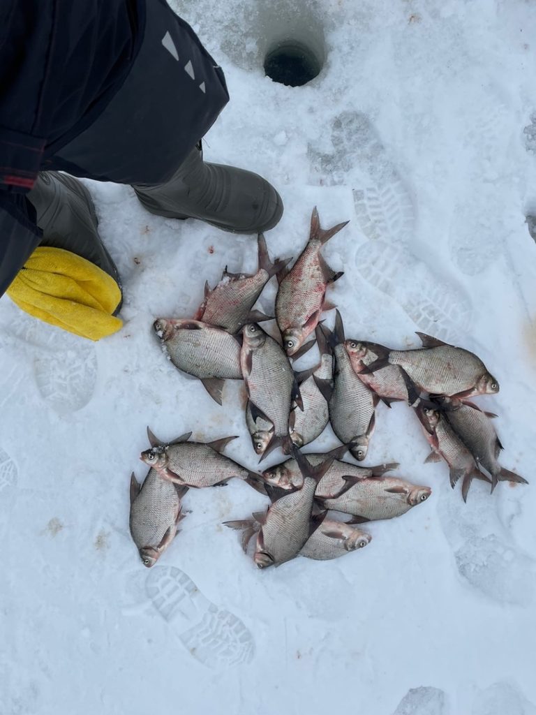 Отчет о рыбалке: Воронежское водохранилище — городской округ Воронеж — Воронеж — Центральный федеральный округ, Воронежская область