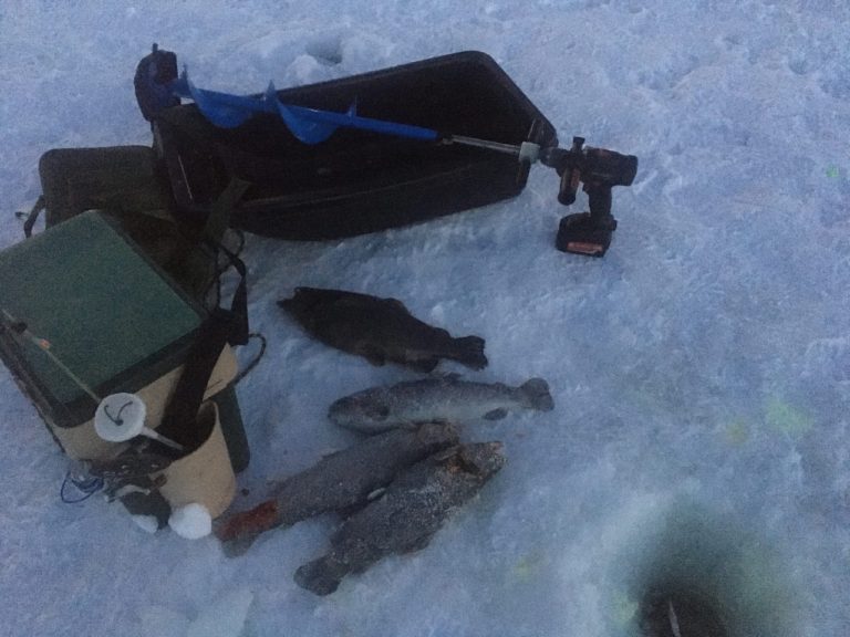 Отчет о рыбалке: Пионерский пруд — Наро-Фоминский городской округ — Центральный федеральный округ, Московская область