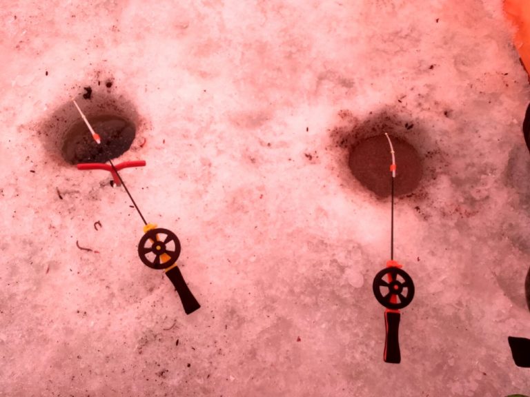 Отчет о рыбалке: озеро Ильмень — Северо-Западный федеральный округ, Новгородская область