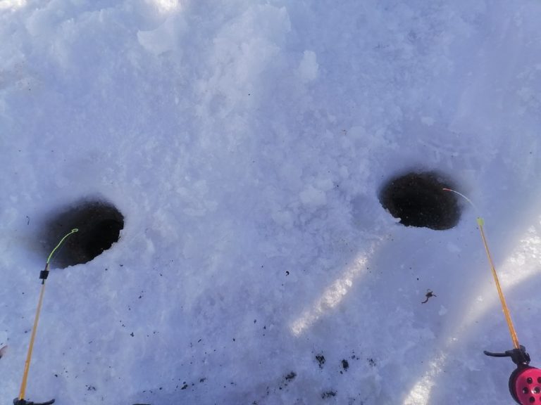 Отчет о рыбалке: пруд Солдатский — городской округ Саранск — Приволжский федеральный округ, Республика Мордовия