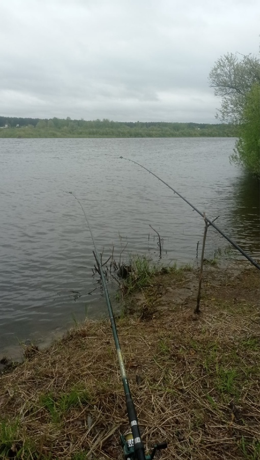 Отчет о рыбалке: Река Тура — городской округ Тюмень — Тюмень — Уральский федеральный округ, Тюменская область