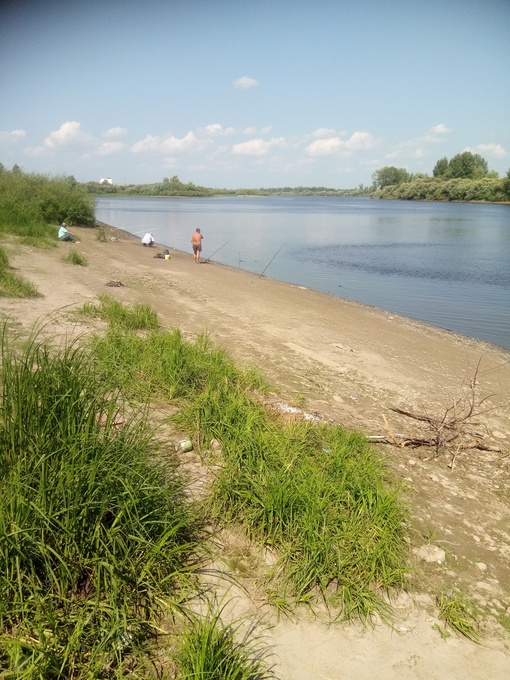 Отчет о рыбалке: Река Тура — городской округ Тюмень — Тюмень — Уральский федеральный округ, Тюменская область