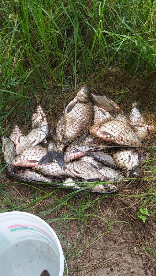 Отчет о рыбалке: Река Самара — городской округ Самара — Самара — Приволжский федеральный округ, Самарская область