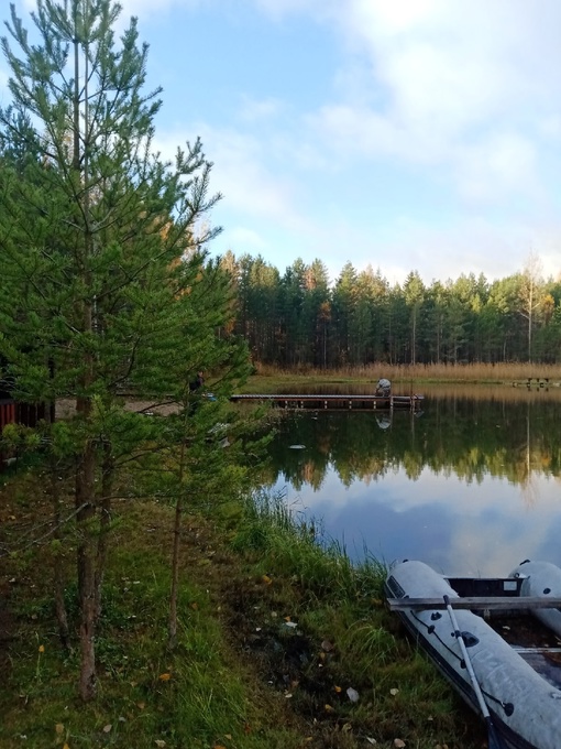 Отчет о рыбалке: Водоём #87692476 — Романовское сельское поселение — Северо-Западный федеральный округ, Ленинградская область Отчет о рыбалке: Водоём #87692476 — Романовское сельское поселение — Северо-Западный федеральный округ, Ленинградская область