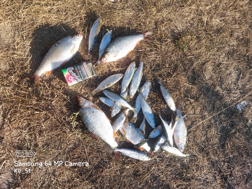 Отчет о рыбалке: Водоём #37294195 — городской округ Ступино — Центральный федеральный округ, Московская область