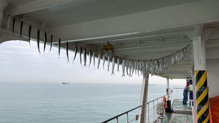 Отчет о рыбалке: Азовское море