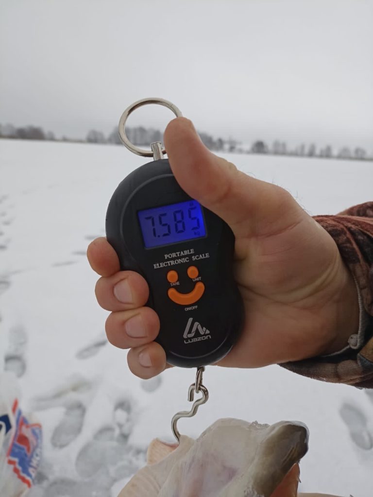 Отчет о рыбалке: Водоём #208406399 — Кочкуровский район — Приволжский федеральный округ, Республика Мордовия