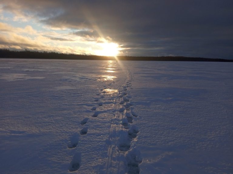 Отчет о рыбалке: озеро Наволок — Удомельский городской округ — Центральный федеральный округ, Тверская область