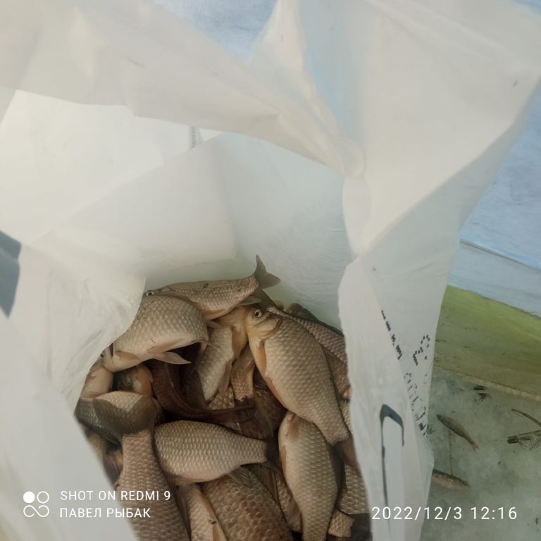 Отчет о рыбалке: озеро Большое Воробьево — Уральский федеральный округ