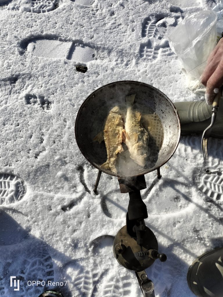 Отчет о рыбалке: Река Чу — Мойынкумский район — Жамбылская область