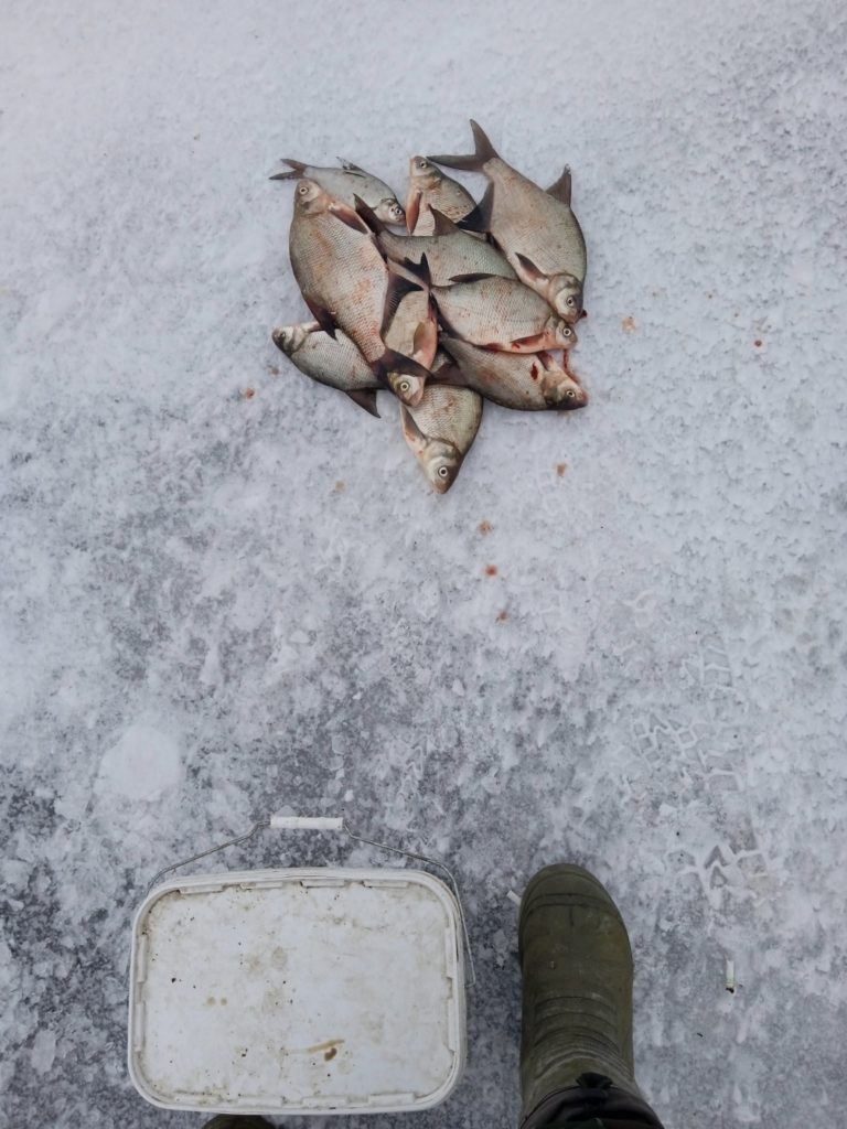 Отчет о рыбалке: Воронежское водохранилище — городской округ Воронеж — Воронеж — Центральный федеральный округ, Воронежская область