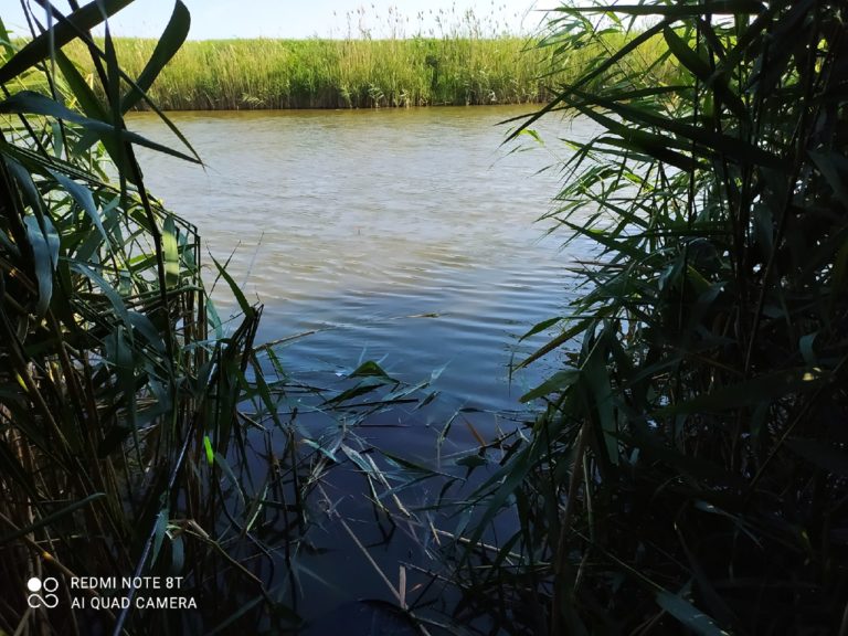 Отчет о рыбалке: Водоём #890876184 — Неклиновский район — Южный федеральный округ, Ростовская область