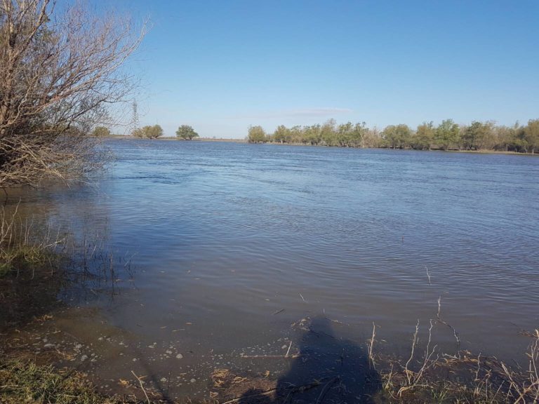 Отчет о рыбалке: Водоём #377716455 — Володарский район — Южный федеральный округ, Астраханская область