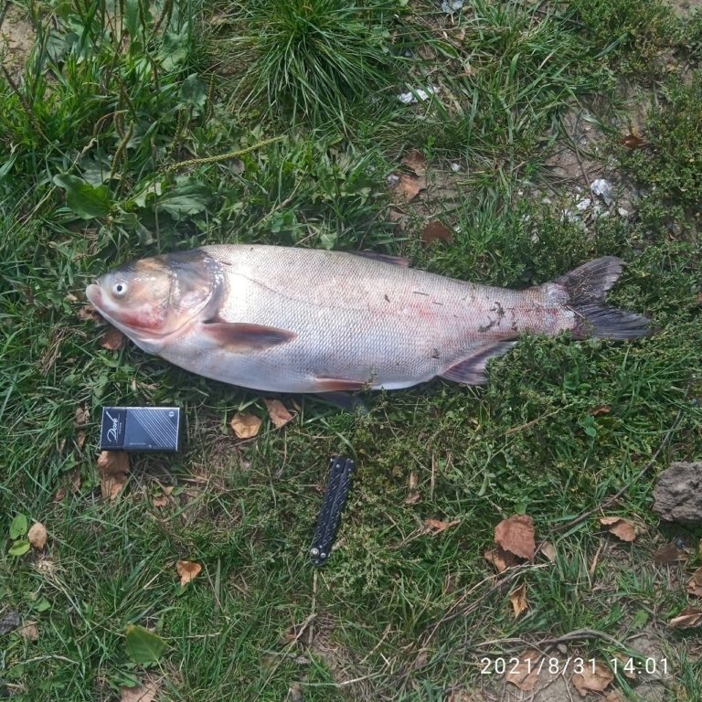 Отчет о рыбалке: Водоём #109422815 — Щёкинский район — рабочий посёлок Первомайский — Центральный федеральный округ, Тульская область